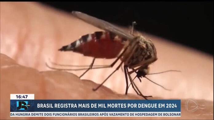 imunizacao-contra-dengue-em-sp-comeca-na-proxima-quinta-(4)